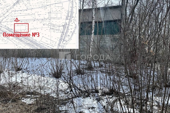 
  Продается универсальное помещение 32000 м². Фото 27.