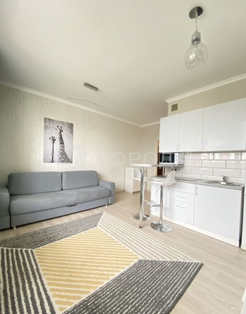 
  Продается студия 26.5 м². Фото 12.