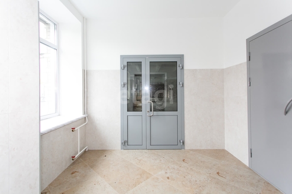 
  Сдается универсальное помещение 345 м². Фото 17.