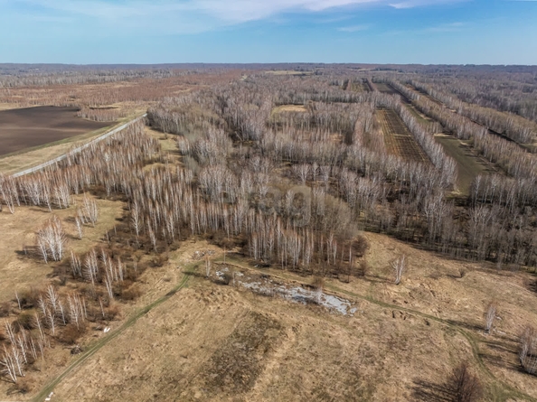 
  Продается земельный участок 950 соток, в КП Олимп. Фото 10.