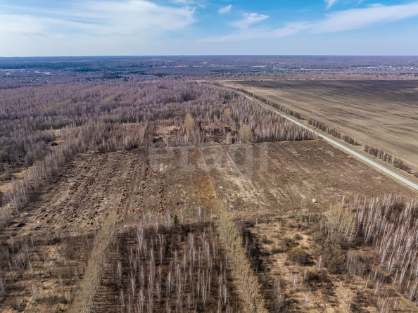 
  Продается земельный участок 224 сотки, в КП Олимп. Фото 17.