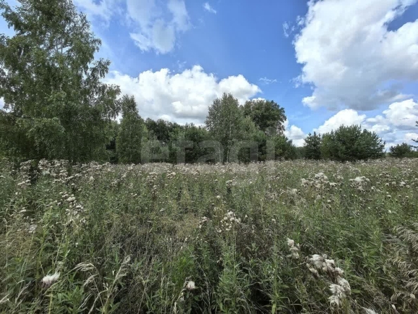 
  Продается земельный участок 139.09 соток. Фото 16.