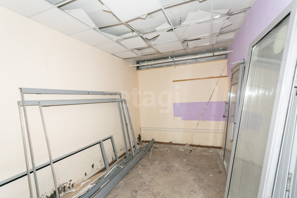 
  Сдается универсальное помещение 280 м². Фото 15.