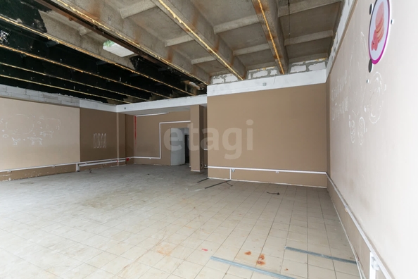 
  Сдается универсальное помещение 274 м². Фото 8.