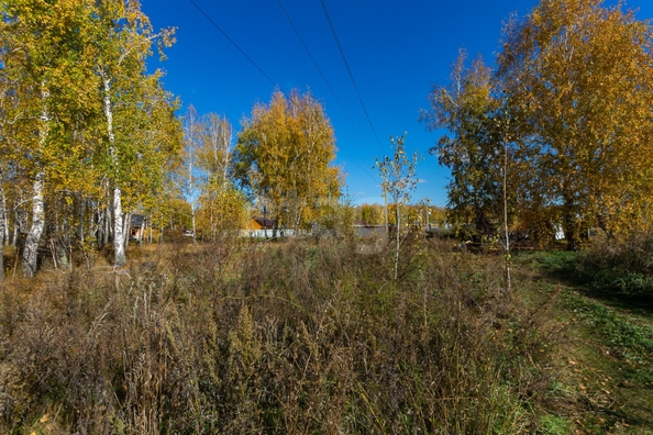 
  Продается земельный участок 18.84 соток. Фото 6.