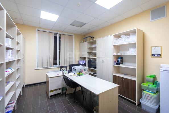 
  Сдается универсальное помещение 81 м². Фото 11.