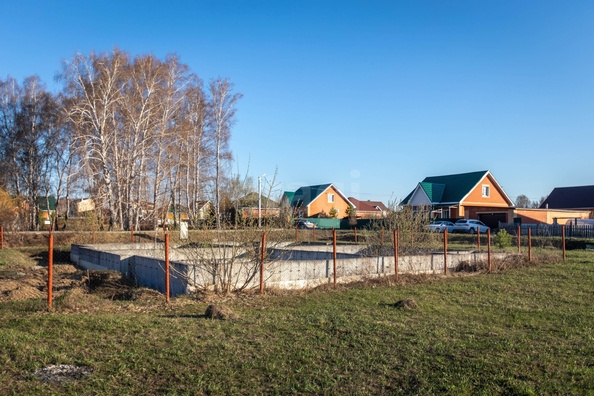 
  Продается земельный участок 12 соток. Фото 7.