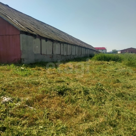 
  Продается производственное помещение 1278 м². Фото 1.