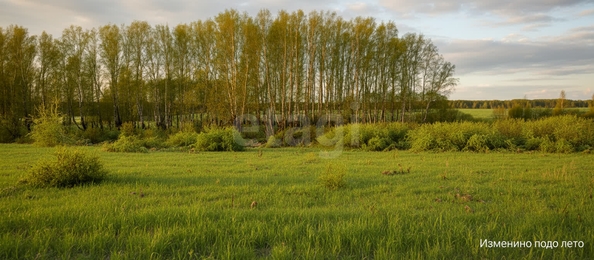 
  Продается земельный участок 99.98 соток. Фото 4.