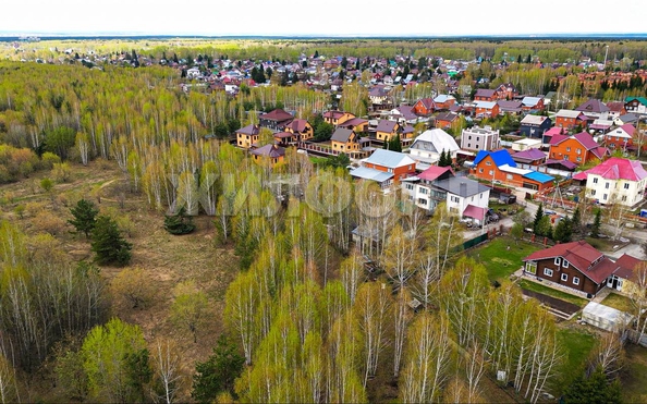 
  Продается земельный участок 10 соток. Фото 2.