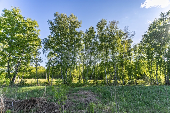 
  Продается земельный участок 9.8 соток. Фото 11.