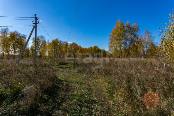 
  Продается земельный участок 18.84 соток. Фото 2.
