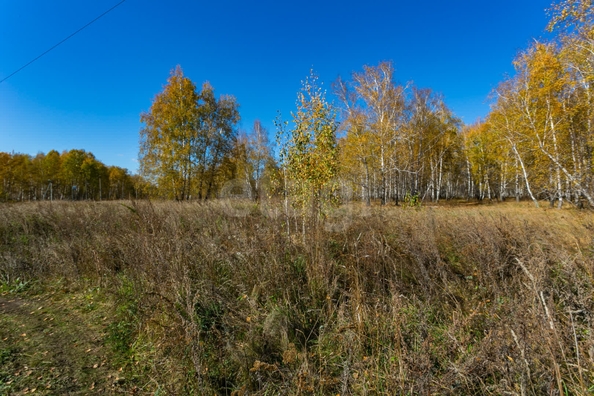
  Продается земельный участок 18.84 соток. Фото 3.