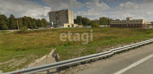 
  Продается земельный участок 174.5 сотки. Фото 3.