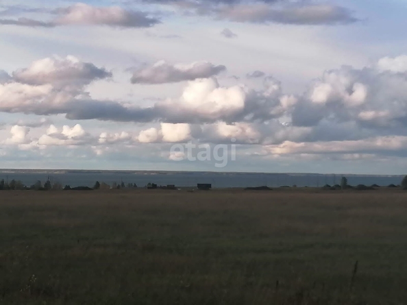 
  Продается земельный участок 1291.6 сотка. Фото 15.