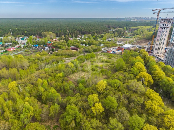 
  Продается земельный участок 65 соток. Фото 7.