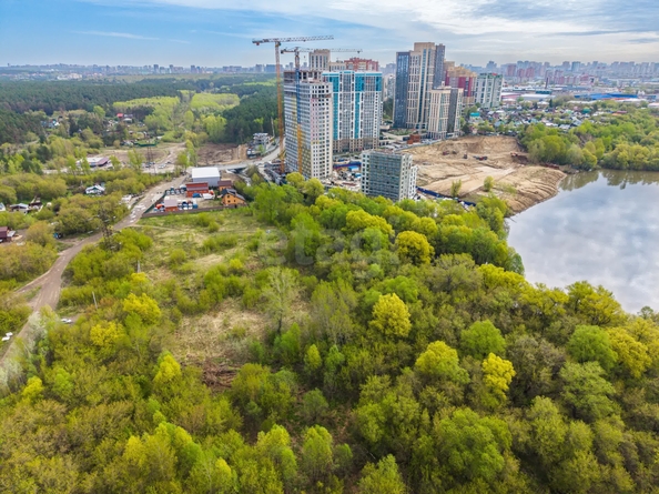 
  Продается земельный участок 65 соток. Фото 8.