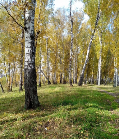 
  Продается земельный участок 7.3 соток. Фото 5.