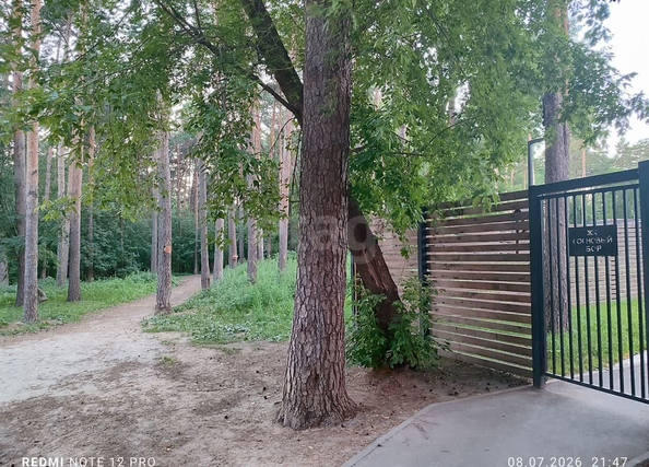 
  Продается студия 23 м², в ЖК Сосновый бор, 1 корпус. Фото 17.