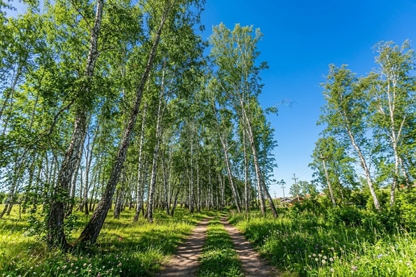 
  Продается земельный участок 10 соток, в КП Олимп. Фото 5.