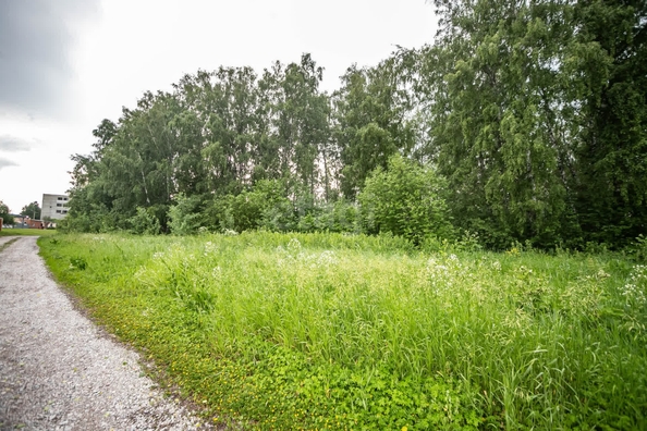 
  Продается земельный участок 24 сотки. Фото 5.