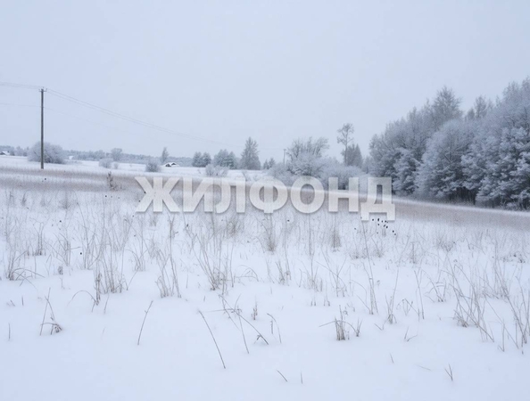 
  Продается земельный участок 8.5 соток. Фото 1.