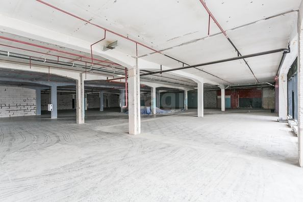 
  Продается универсальное помещение 469.8 м². Фото 15.
