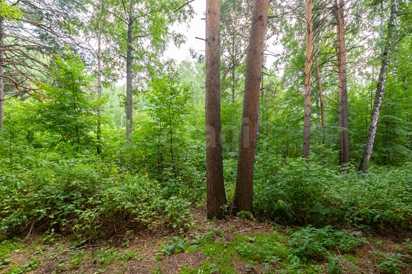 
  Продается 1-комн. квартира 31.7 м². Фото 11.