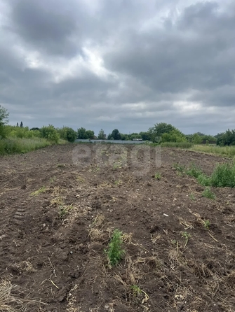 
  Продается земельный участок 40 соток. Фото 12.