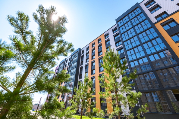 
  Продается 1-комн. квартира 40 м², в ЖК Фламинго, дом 21. Фото 11.