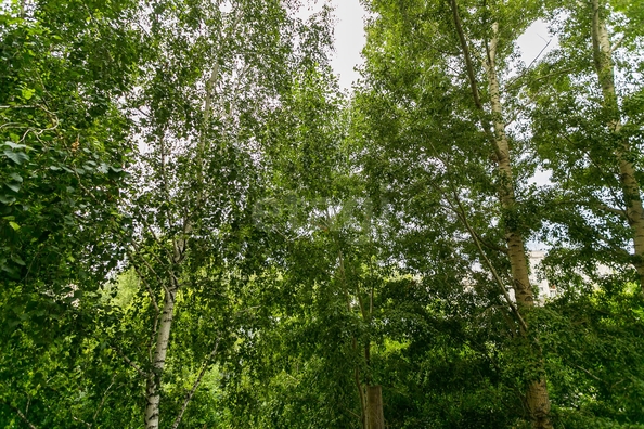 
  Продается 1-комн. квартира 20.4 м². Фото 12.