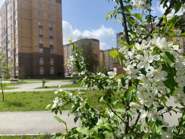 
  Продается 2-комн. квартира 55.59 м², в ЖК Дивногорский, дом 43. Фото 11.
