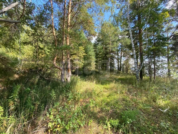 
  Продается земельный участок 362.86 сотки. Фото 16.