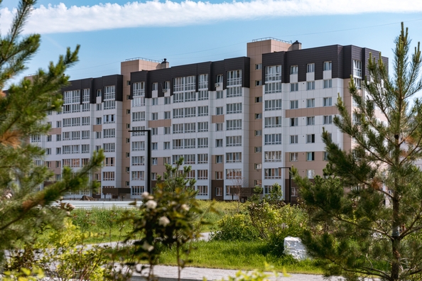 
  Продается 3-комн. квартира 69.6 м², в ЖК Фламинго, дом 20. Фото 2.