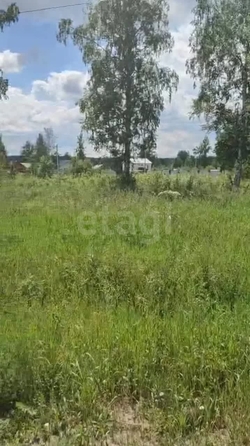 
  Продается земельный участок 9.9 соток. Фото 3.