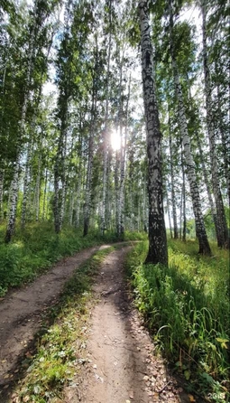 
  Продается земельный участок 22 сотки. Фото 3.