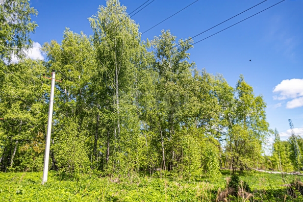 
  Продается земельный участок 10.4 соток. Фото 18.