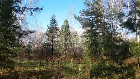 
  Продается земельный участок 11.98 соток, в КП Лаки Парк. Фото 3.