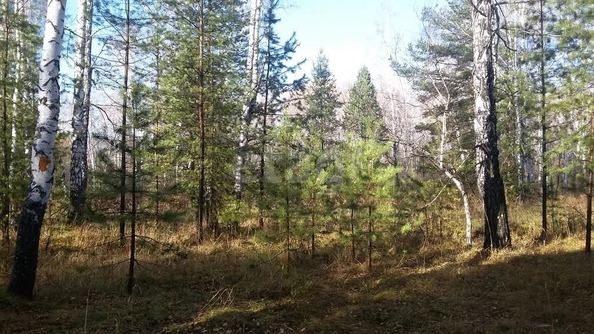 
  Продается земельный участок 11.98 соток, в КП Лаки Парк. Фото 4.