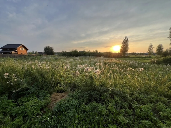 
  Продается земельный участок 12 соток. Фото 2.