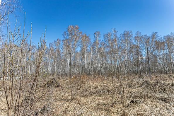 
  Продается земельный участок 5.13 соток. Фото 17.