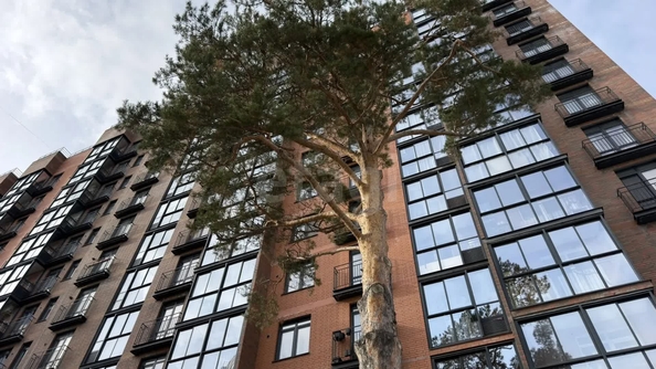 
  Продается 1-комн. квартира 39.3 м², в ЖК Эволюция, 1 оч, дом 1. Фото 23.