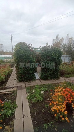 
  Продается дача 43 м². Фото 30.