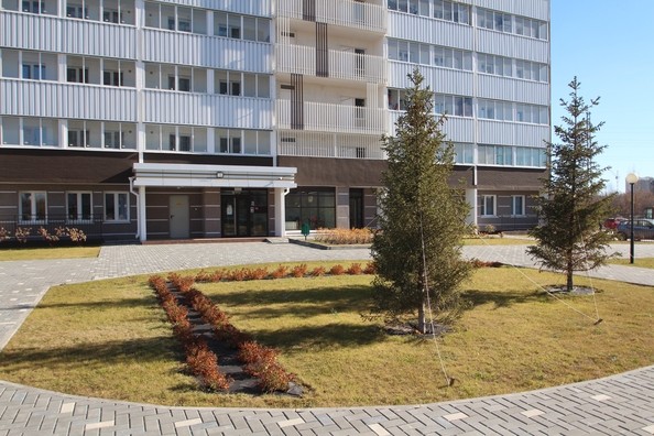 
   Продам 2-комнатную, 43.46 м², Радуга Сибири, дом 11

. Фото 20.