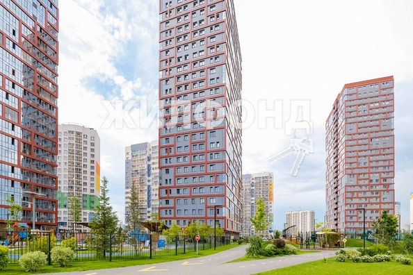 
   Продам студию, 26.5 м², Ясный Берег ул, 10

. Фото 10.