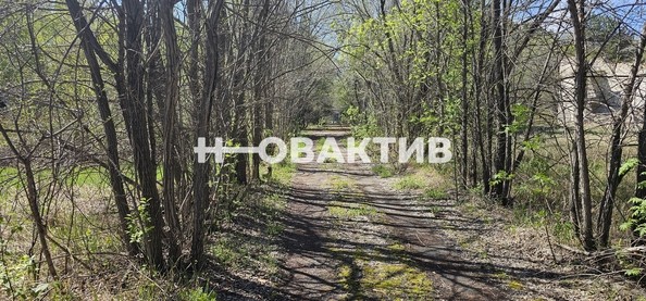 
   Продам помещение свободного назначения, 7600 м², Красная (Боровская радуга тер. СНТ) ул, 2А

. Фото 9.