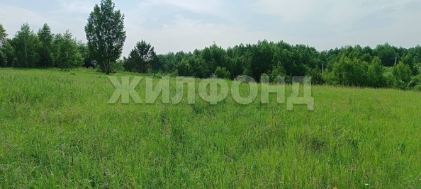 
  Продается земельный участок, 10.52 соток, поселок Воробьевский
. Фото 11.