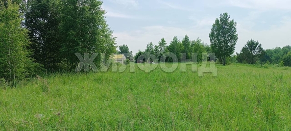 
  Продается земельный участок, 12 соток, поселок Воробьевский
. Фото 3.