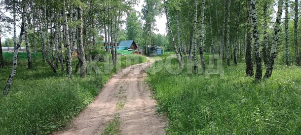 
  Продается земельный участок, 12 соток, поселок Воробьевский
. Фото 13.