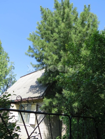 
  Продается дача, 35 м², Новосибирск
. Фото 5.